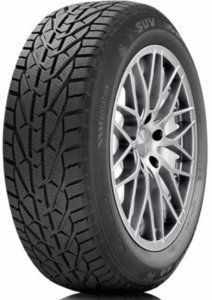 TIGAR Winter 205/60R16 96H 9353 фото